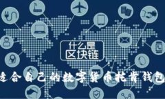 如何选择适合自己的数字货币托肯钱包：全面指