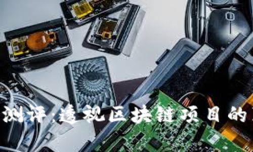 Tokenim测评：透视区块链项目的真实价值