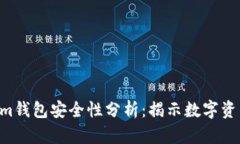 Tokentokenim钱包安全性分析