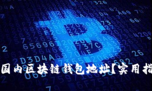 如何查询国内区块链钱包地址？实用指南与技巧