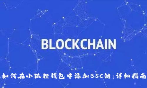如何在小狐狸钱包中添加BSC链：详细指南