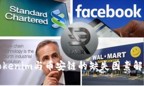 Tokenim与币安链的缺失因素解析