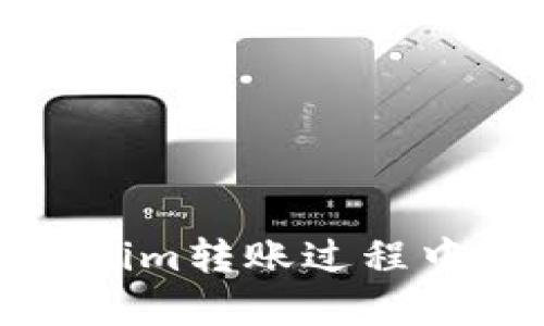 如何解决Tokenim转账过程中出现乱码问题