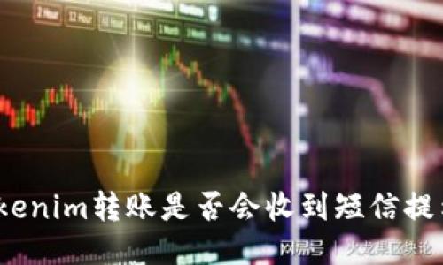 Tokenim转账是否会收到短信提示？