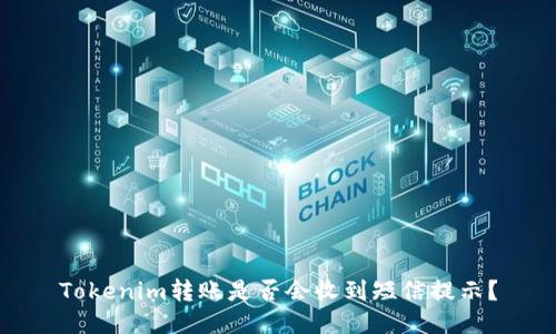 Tokenim转账是否会收到短信提示？