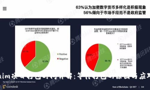 Tokenim项目打包时间详解：等待打包的原因与应对策略