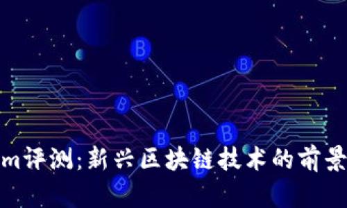 Tokenim评测：新兴区块链技术的前景与挑战