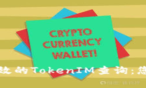 如何进行有效的TokenIM查询：您的完整指南