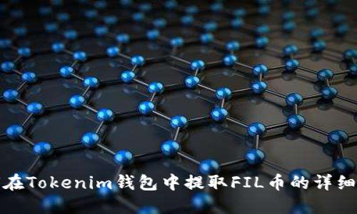 如何在Tokenim钱包中提取FIL币的详细流程