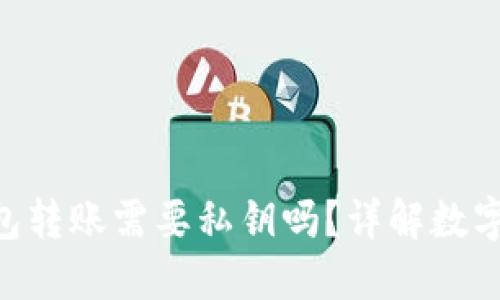 Tokenim钱包转账需要私钥吗？详解数字货币安全性