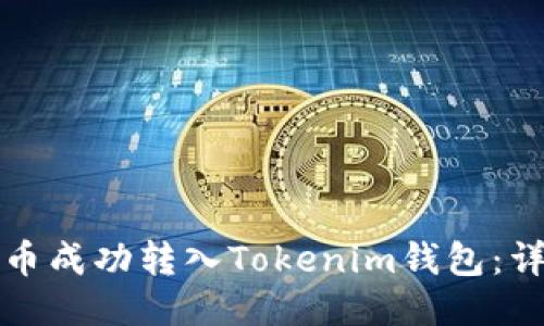 如何将狗狗币成功转入Tokenim钱包：详细步骤指南