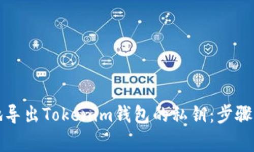 如何安全地导出Tokenim钱包的私钥：步骤与注意事项