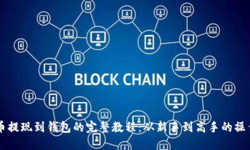 虚拟币提现到钱包的完整教程：从新手到高手的操作指南
