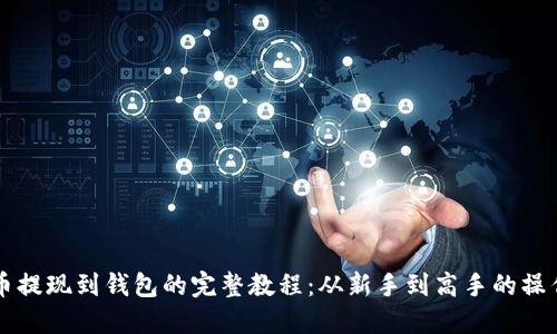 虚拟币提现到钱包的完整教程：从新手到高手的操作指南