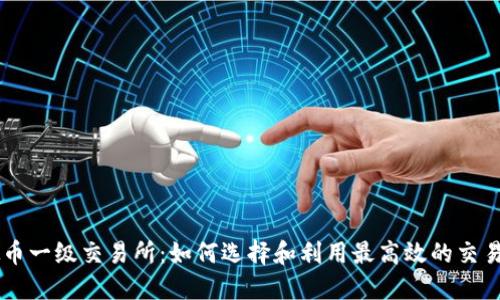 虚拟币一级交易所：如何选择和利用最高效的交易平台