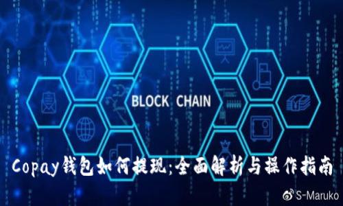 Copay钱包如何提现：全面解析与操作指南