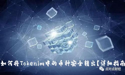 如何将Tokenim中的币种安全转出？详细指南