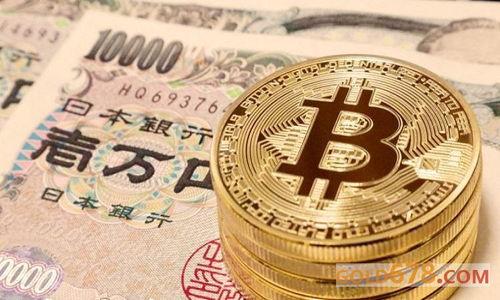 

美国常用的加密货币钱包：选择、使用和安全指南