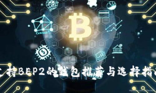支持BEP2的钱包推荐与选择指南