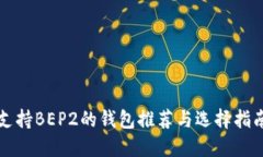 支持BEP2的钱包推荐与选择