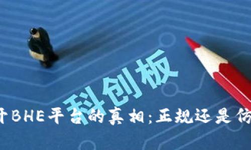 揭开BHE平台的真相：正规还是仿制？