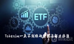 Tokenim一天不到账的原因与