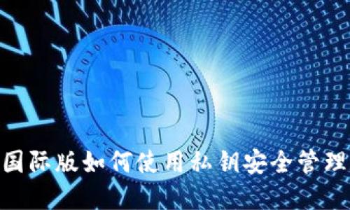 Tokenim国际版如何使用私钥安全管理数字资产