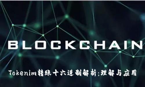 Tokenim转账十六进制解析：理解与应用
