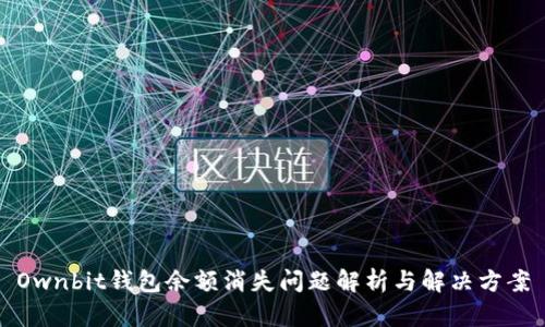 Ownbit钱包余额消失问题解析与解决方案