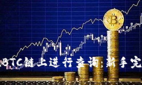 如何在BTC链上进行查询：新手完全指南