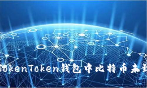 如何解决TokenToken钱包中比特币未到账的问题
