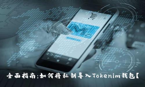 全面指南：如何将私钥导入Tokenim钱包？