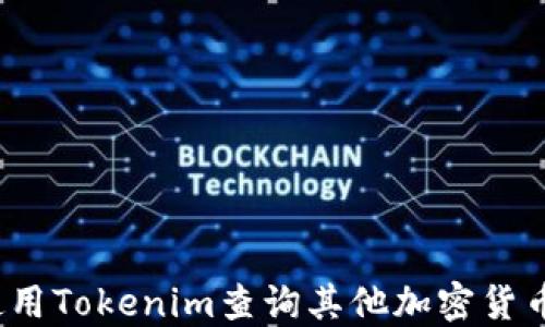 
如何使用Tokenim查询其他加密货币信息？