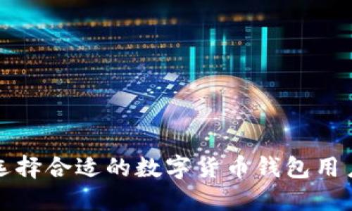 如何选择合适的数字货币钱包用户指南