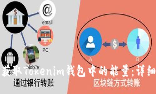 如何获取Tokenim钱包中的能量：详细指南