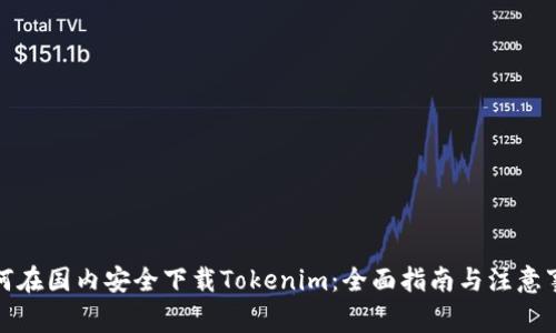 如何在国内安全下载Tokenim：全面指南与注意事项