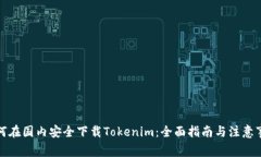 如何在国内安全下载Toke