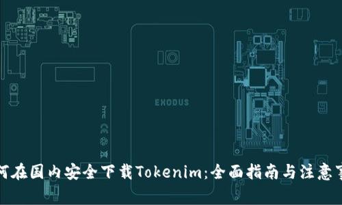 如何在国内安全下载Tokenim：全面指南与注意事项