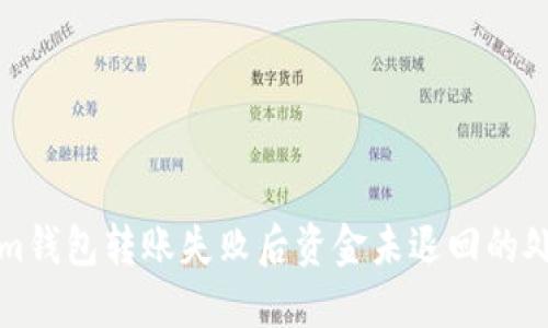 Tokenim钱包转账失败后资金未退回的处理方法