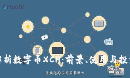 全面解析数字币XCH：前景、使用与投资策略