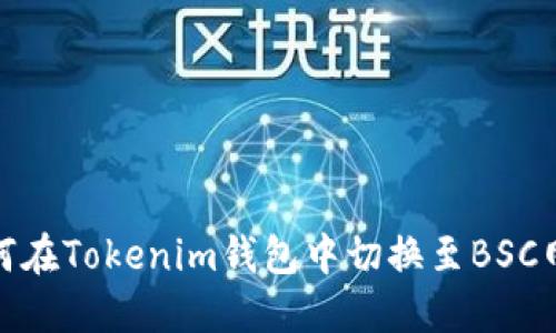 如何在Tokenim钱包中切换至BSC网络
