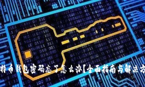 比特币钱包密码忘了怎么办？全面指南与解决方案