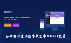 如何轻松查询数字钱包中