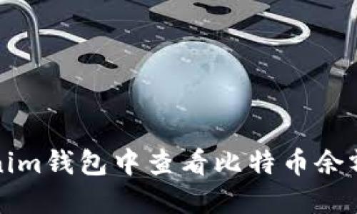 如何在Tokenim钱包中查看比特币余额和交易记录
