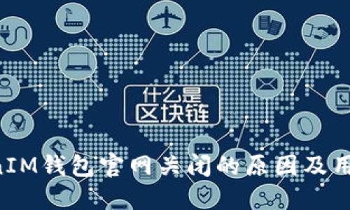 TokenTokenIM钱包官网关闭的原因及用户应对策略