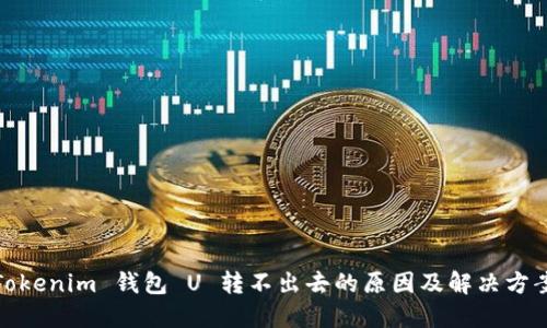 Tokenim 钱包 U 转不出去的原因及解决方案