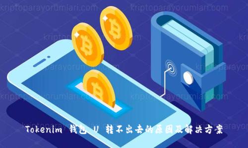 Tokenim 钱包 U 转不出去的原因及解决方案