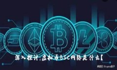深入探讨：虚拟币BSC网络
