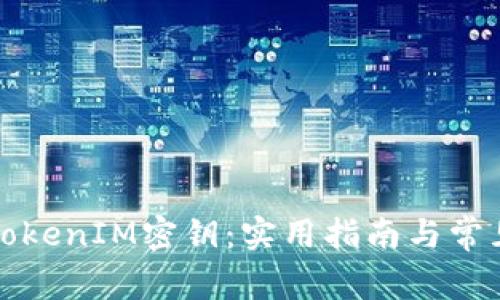 如何找回TokenIM密钥：实用指南与常见问题解答