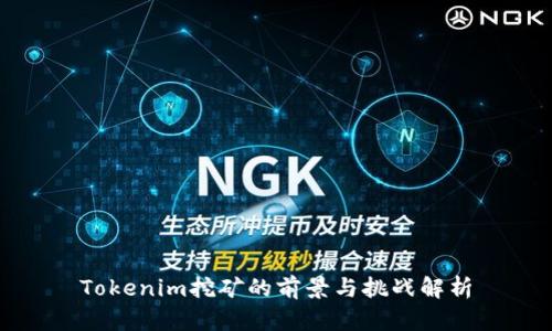 Tokenim挖矿的前景与挑战解析